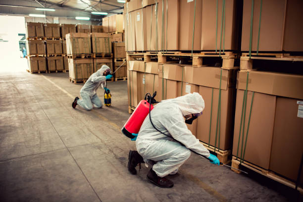Best Residential Pest Control  in Ohatchee, AL