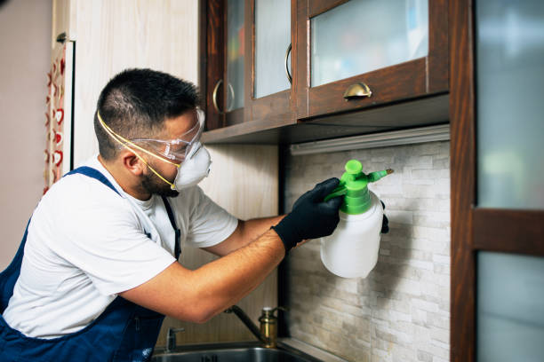 Best Local Pest Control Services  in Ohatchee, AL