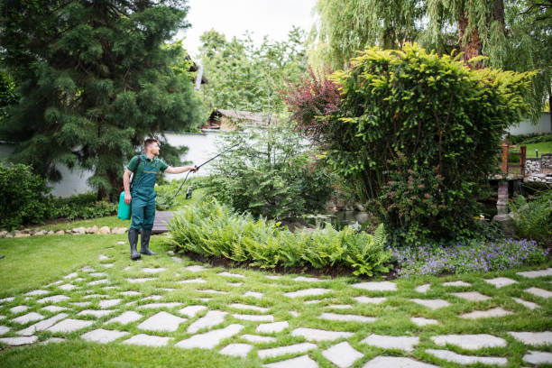 Trusted Ohatchee, AL Pest Control Experts