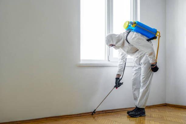 Best Residential Pest Control  in Ohatchee, AL