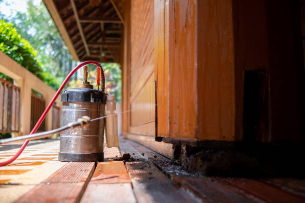Best Cockroach Control Services  in Ohatchee, AL