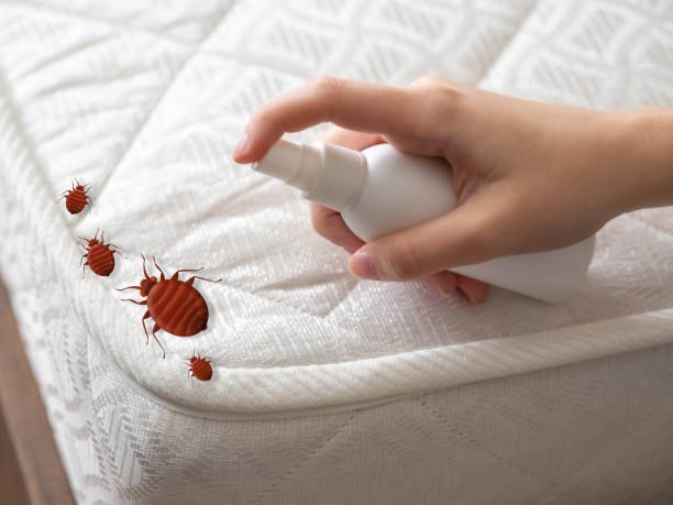 Best Insect Control  in Ohatchee, AL