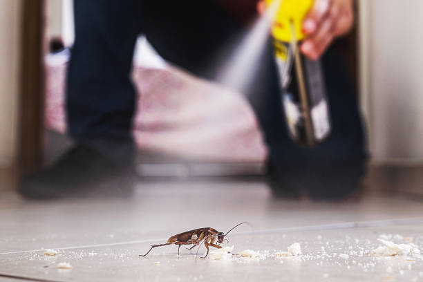Best Pest Removal Services  in Ohatchee, AL