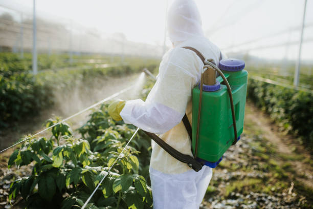 Best Cockroach Control Services  in Ohatchee, AL